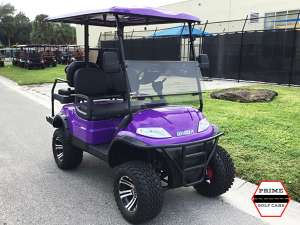 florida golf cart rental, golf cart rental, golf cars for rent