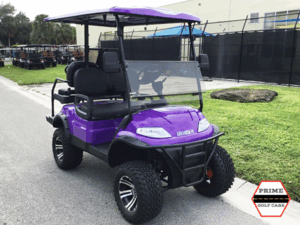 Purple Advanced 4 Passenger Lifted Golf Cart fernandina beach golf cart rental, golf cart rentals